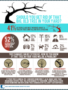 Checking Trees as Hurricane Season Starts Infographic